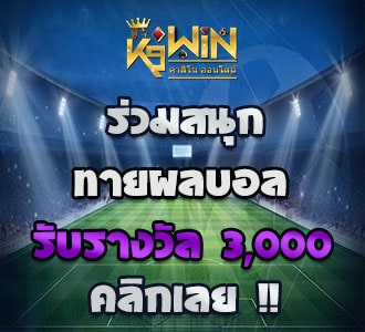 k9win banner euro 2020